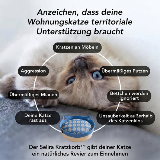 Selira Kratzkorb