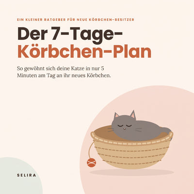 7 Tage Körbchen Plan