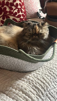 Nina H.